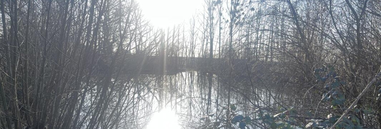 Commerce  6600 m² à vendre à Choiseul (52240)