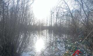 Commerce  6600 m² à vendre à Choiseul (52240)