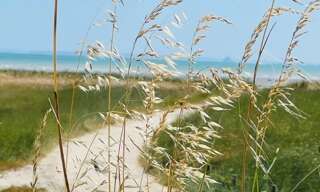 Commerce 9 Pièces 200 m² à vendre à Cancale (35260)