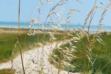 Commerce 9 pièces 580000 €