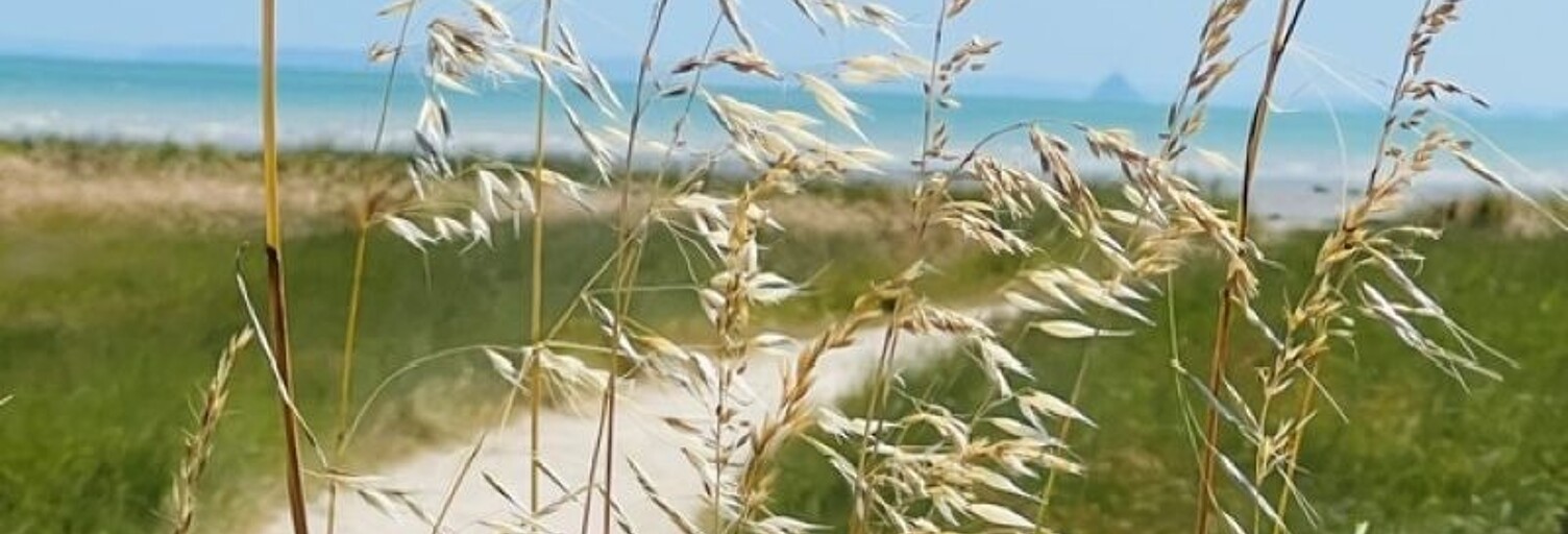 Commerce 9 Pièces 200 m² à vendre à Cancale (35260)