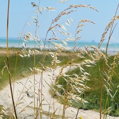 Commerce 9 pièces 580000 €