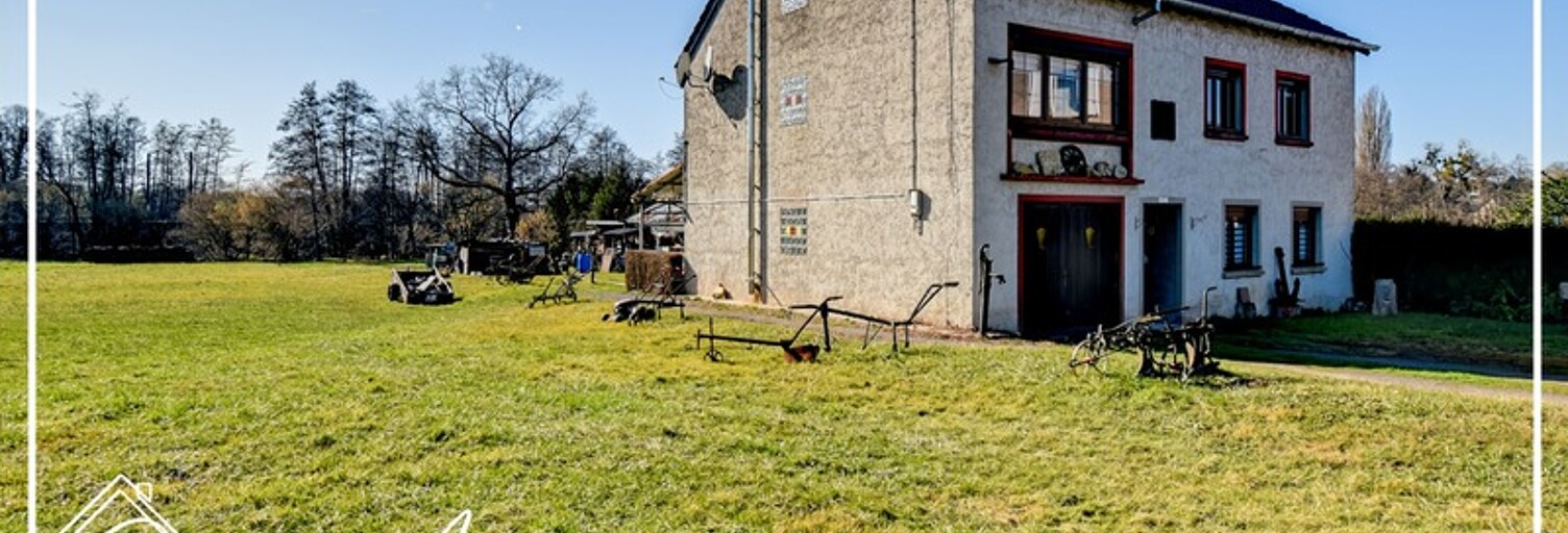 Maison 166 m² en viager Sarrebourg (57400)