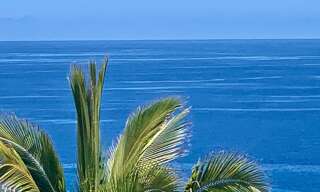 Maison 9 Pièces 270 m² à vendre à Saint-Paul (97434)