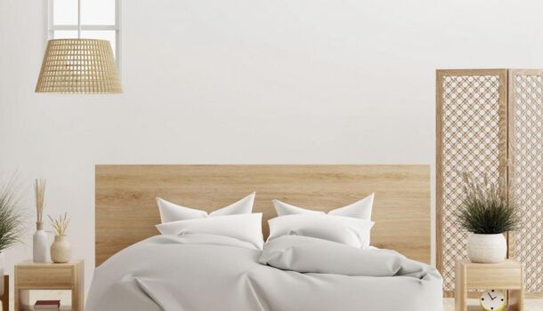 Appartement 3 pièces  à vendre Toulouse 31400