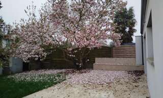 Maison 5 Pièces 120 m² à vendre à Cholet (49300)