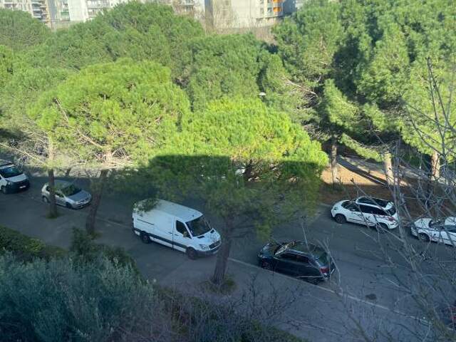 Appartement  T3 À Vendre PAILLADE — photo du bien