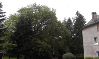 Photo N° 3