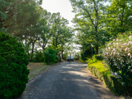 Propriété de 282m2 sur 1,5hectare de terrain — photo 3