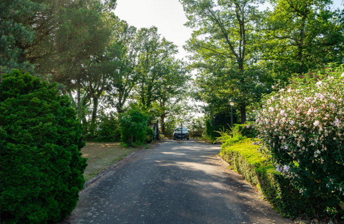 Propriété de 282m2 sur 1,5hectare de terrain — photo 3