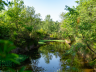 Propriété de 282m2 sur 1,5hectare de terrain — photo 4