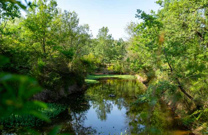 Propriété de 282m2 sur 1,5hectare de terrain — photo 4