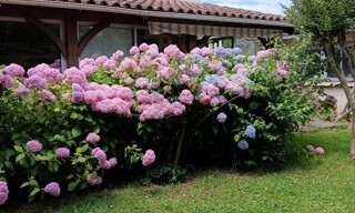 Photo N° 3