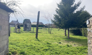 Photo N° 3