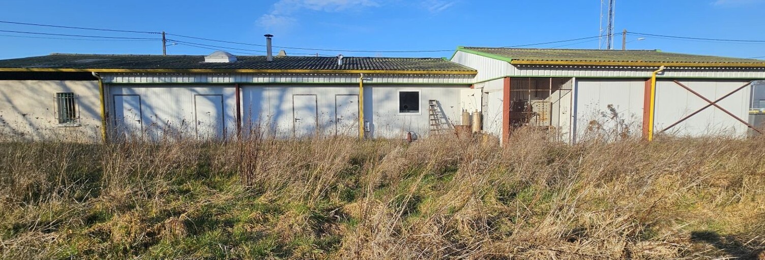 Commerce  300 m² à vendre à La Ville-Dieu-du-Temple (82290)