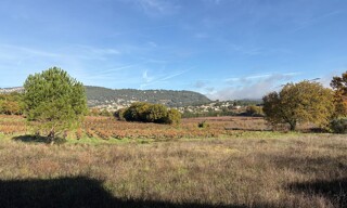 Photo N° 4