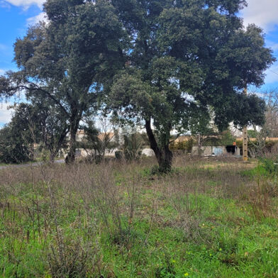 Terrain  215000 €