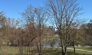 Photo N° 5