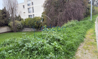 Photo N° 4