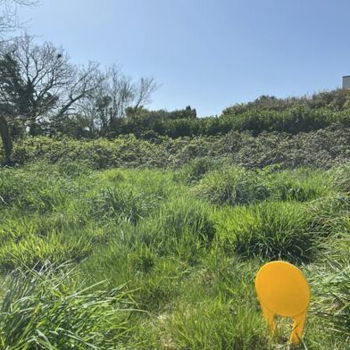 Terrain  108600 €
