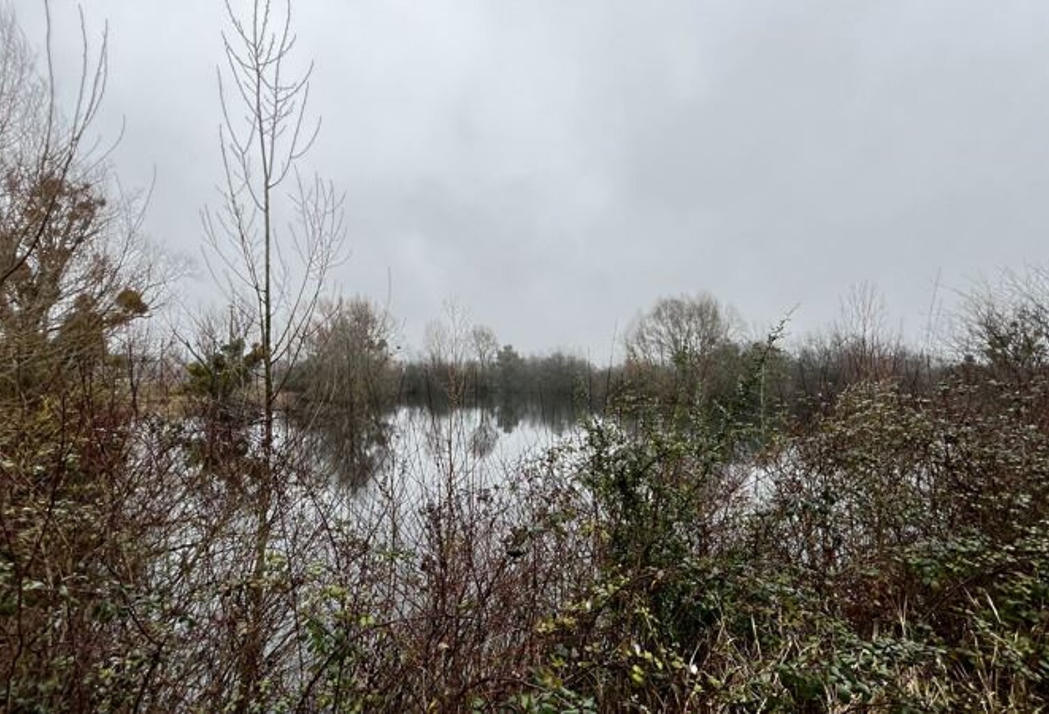 Vente terrain  17737 m² Noyers-sur-Cher (41140) — photo 1