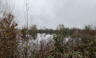 Terrain  17737 m² à vendre à Noyers-sur-Cher (41140)