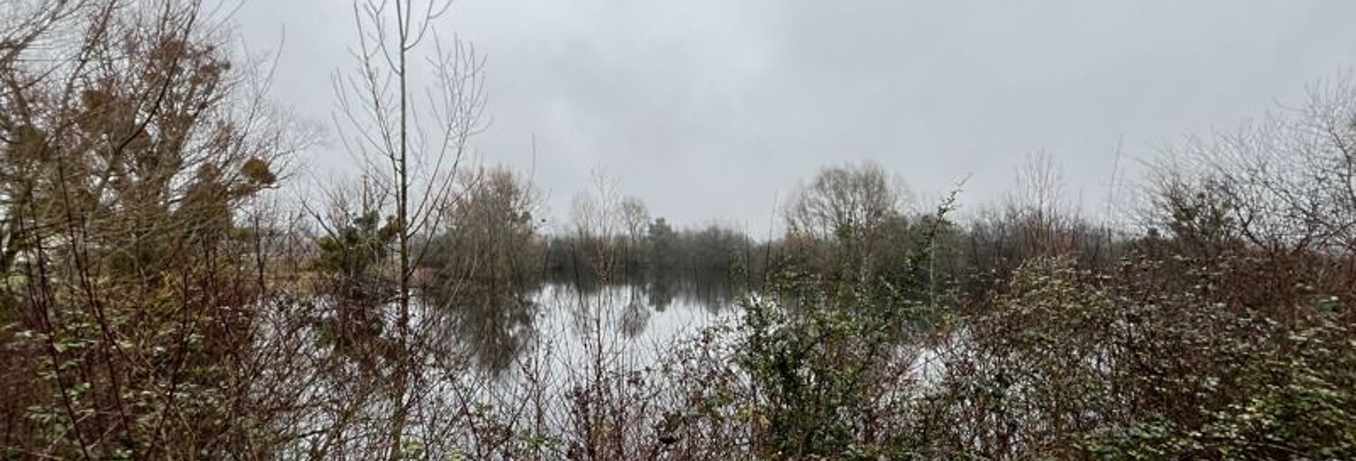 Terrain  17737 m² à vendre à Noyers-sur-Cher (41140)