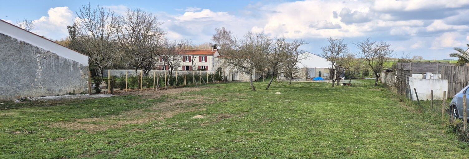 Photo N° 2