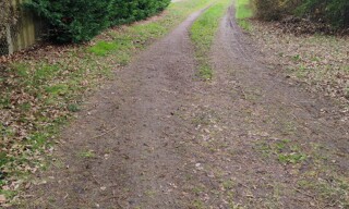 Photo N° 5