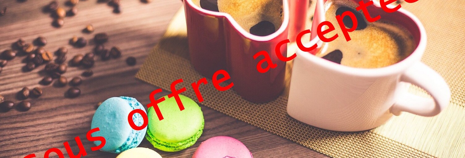 Commerce  39 m² à vendre à Chambéry (73000)