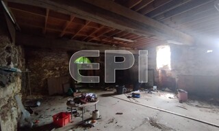 Photo N° 6