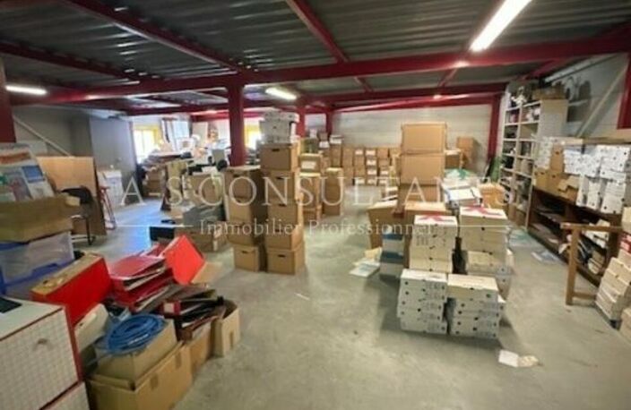 LOCAL PRO-COMMERCIAL + DEPÔT à louer — photo 2