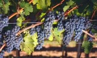 Maison 1 Pièce 7100 m² à vendre à Ludon-Médoc (33290)