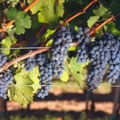 Maison 1 pièces 218000 €