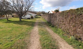 Photo N° 4
