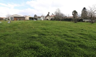 Photo N° 5