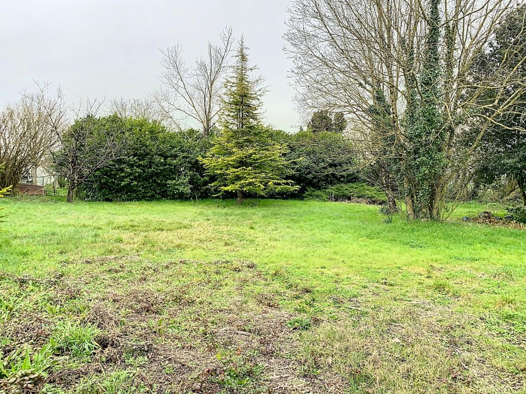 Terrain  à vendre Bouhet 17540