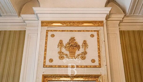 H&ocirc;tel particulier 12 pièces  à vendre Rians 83560