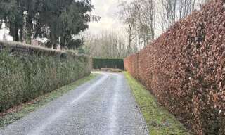 Photo N° 2