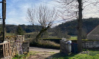 Photo N° 6