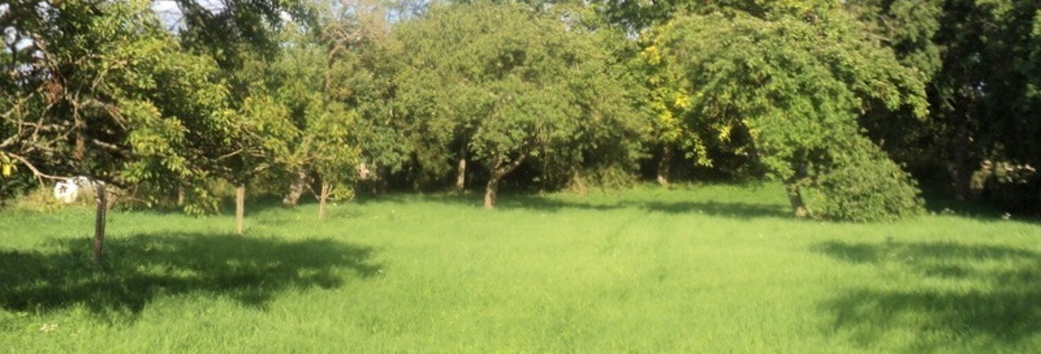 Terrain  850 m² à vendre à Thaon-les-Vosges (88150)