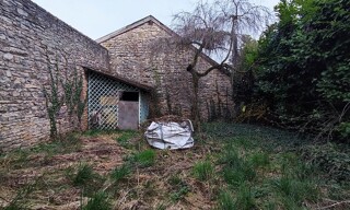 Photo N° 6