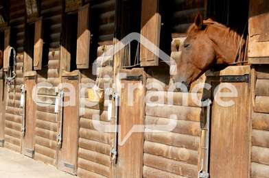 Commerce  495000 €