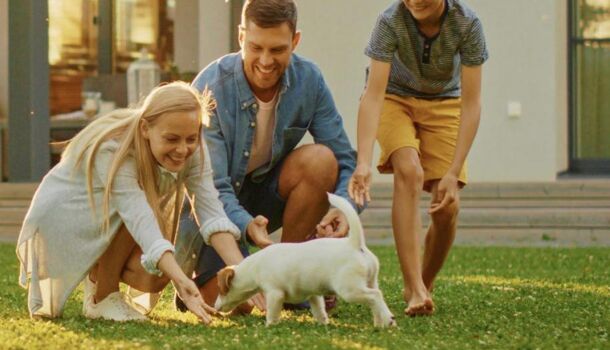 Appartement 3 pièces  à vendre Bezons 95870