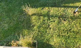 Photo N° 3
