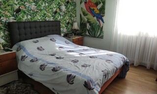 Photo N° 4