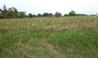 Terrain  3500 m² à vendre à La Trimouille (86290)