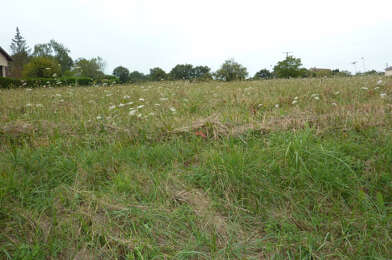 Terrain  17000 €