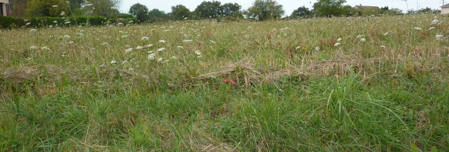 Terrain  3500 m² à vendre à La Trimouille (86290)