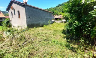 Photo N° 6